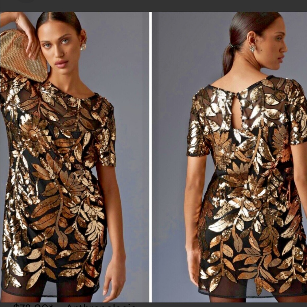 NWT Anthropologie Maeve Short-Sleeve Sheer Embellished Mini Dress Sz xxs petite